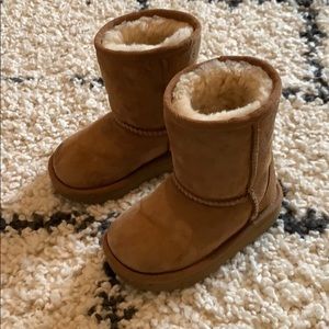 Classic short uggs